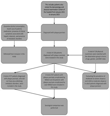 Metabolic dysfunction associated steatotic liver disease in patients with plaque psoriasis: a case–control study and serological comparison